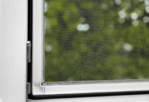 Window with mosquito screen indoors